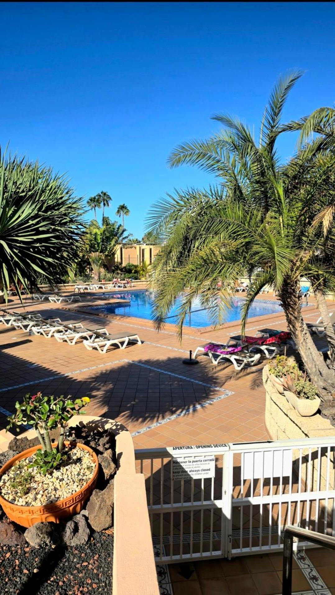 524 Ocean Dreams Las Americas Playa de las Americas (Tenerife) Exterior foto